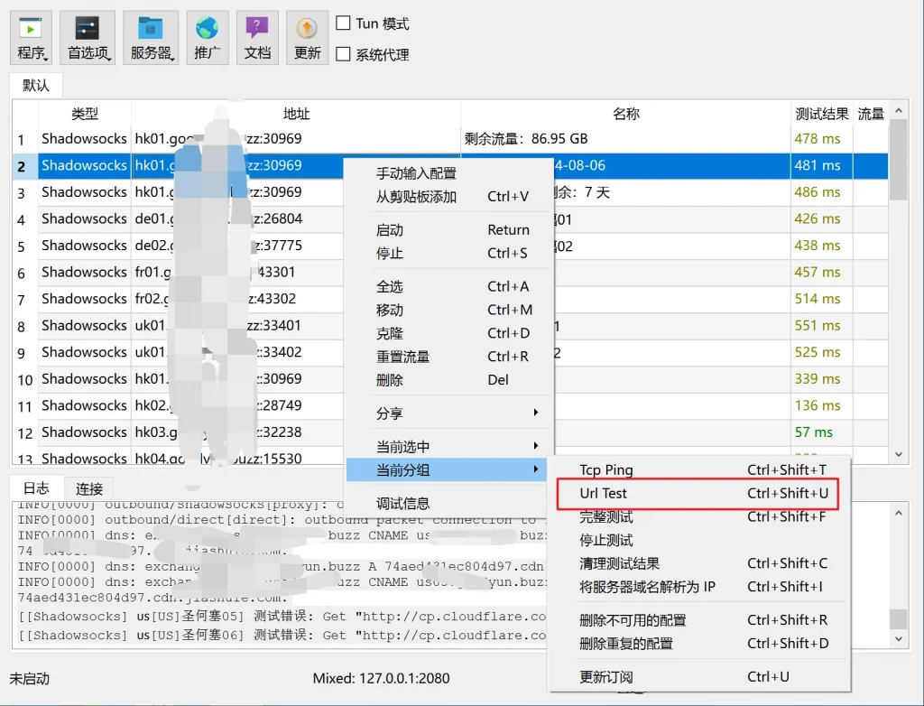 NekoRay Node Testing